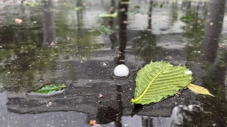 Les images de l'impressionnant orage de grêle qui a frappé Paris et les Yvelines