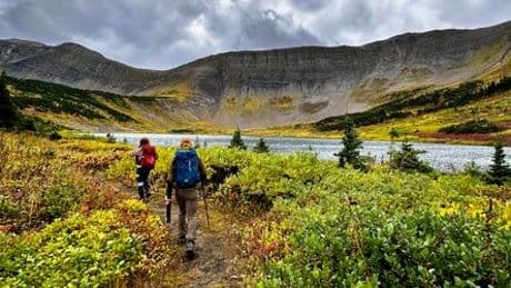 British Columbia: Roadtrip dort, wo das Kanada aufhört, das alle kennen