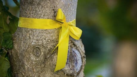 Versteckte Botschaft: Dasist die Bedeutung einer gelber Schleife an Obstbäumen