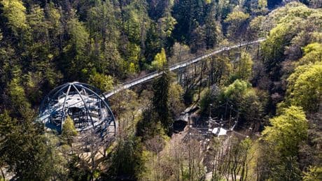Neue Attraktionen geplant: Baumwipfelpfad im Harz will Angebot weiter ausbauen