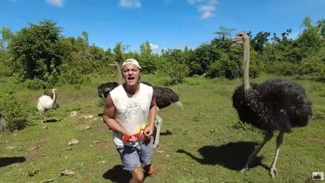 Un exalumno de Frank Cuesta cuenta lo que vivió en el Santuario: &quot;Los animales estaban libres, es tal cual se ve en los vídeos&quot;