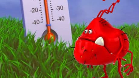 Pollen und Temperaturchaos - Deshalb sind im Frühling alle krank