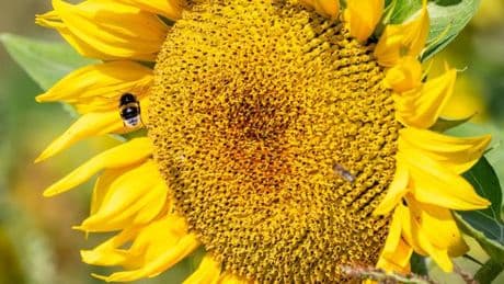 Wetter: Nach Gewittern und Schauern wieder mehr Sonne