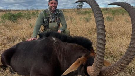 Jay Cutler under fire for killing Sable antelope in South Africa