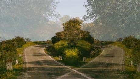 Vorurteile abbauen: Je weniger Meinungen wir haben, desto mehr sehen wir