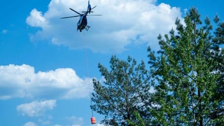 Feuerwehr: Waldbrand auf 15.000 Quadratmetern weitestgehend gelöscht