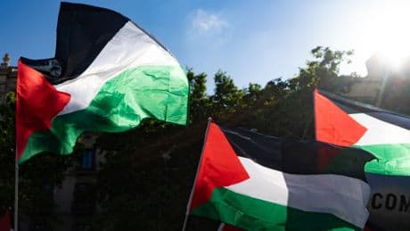 La Calabria filo Gaza va contro il passato