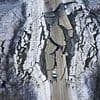 Experts warn hidden earthquake threat beneath North America could strike at any moment