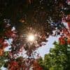 Berlins Sehnsucht nach der Stille: Dieser Sommer sollte sich doch mühelos verlängern lassen