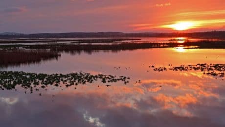 Urlaub ab Berlin: "Amazonas des Nordens" ist Geheimtipp