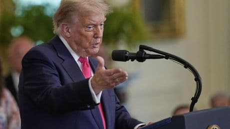 Trump celebrates 'monumental' win at Supreme Court