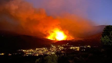 El incendio que arrasa el Valle del Tiétar ha sido provocado: la Junta pide ayuda para encontrar a los culpables