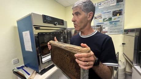 Científicos españoles buscan “superabejas” resistentes al cambio climático y los parásitos