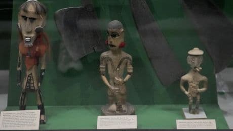🌟The Bright Side: Tribes from India visit UK museum to bring home ancestors' remains