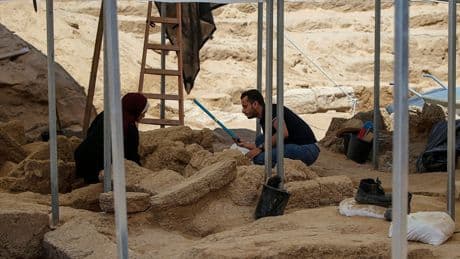 À Gaza, un dépôt archéologique menacé par un bombardement imminent