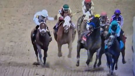 ‘Look at the elbows!’ - jockeys tangle as Journalism fights back to win £1.5m Preakness