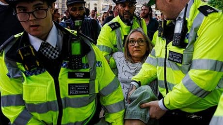 At Least 300 Pro-Palestinian Protesters Arrested in London on Terrorism Charges