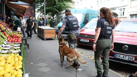 Rumäne floh aus Düsseldorfer Amtsgericht - Grinse-Verbrecher nach Flucht in Brüssel gefasst