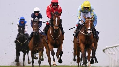 Newsboy’s horseracing tips for Tuesday’s four meetings, including Brighton Nap