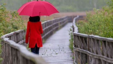 Wetter: Dauerregen und Gewitter in Nordrhein-Westfalen erwartet