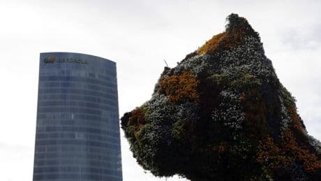 BBVA, Iberdrola y Telefónica tiran de los accionistas para sus grandes planes