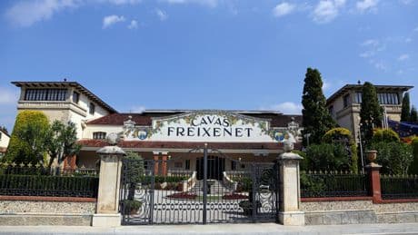 Freixenet anuncia un ERE para 180 empleados, el 24% de la plantilla