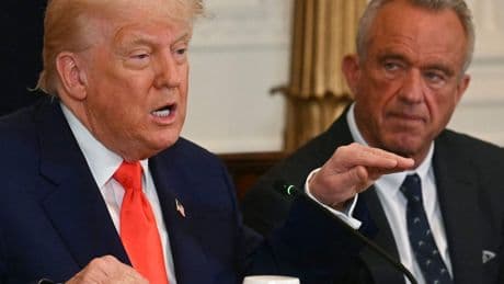 Kolumne: Washington D.C.: Mäuse im Mixer