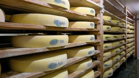 Comté : et maintenant, les écolos s’en prennent au fromage !