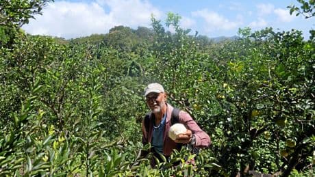 Grenada | Gewürzinsel mit wilder Geschichte