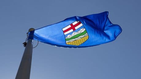 Alberta government seeks court ruling on constitutionality of Ottawa’s clean electricity plan