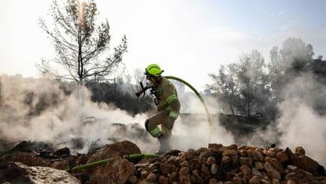 Waldbrände in Israel: Israelische Polizei nimmt Mann wegen versuchter Brandstiftung fest
