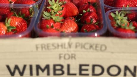 Wimbledon, tutto di pi&ugrave;: dal montepremi ai biglietti, dalla queue alle fragole con la panna