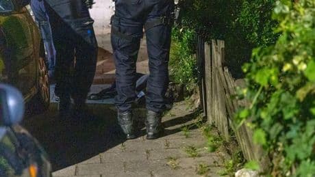 Politie schiet hond dood in Haarlem die agenten zou hebben aangevallen