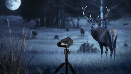Aldi eröffnet die Preisjagd: Bresser-Nachtsichtgeräte jetzt stark reduziert