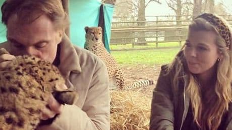 Troubleshooters sent into wildlife charity linked to Carrie Johnson