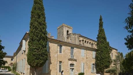 Sept idées pour se mettre en route avec « Laudato si’ »