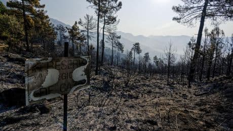 Controlado el incendio en Ávila con la ayuda de la lluvia