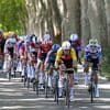 Live Tour | Arensman met Alaphilippe in kopgroep richting Mont Ventoux