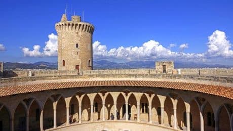 Fury in Palma as Mayor accused of 'surrendering' to France
