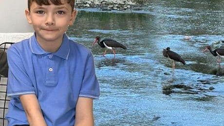 7 yaşındaki Çınar fark etti! Türkiye'de çok nadir görülüyor
