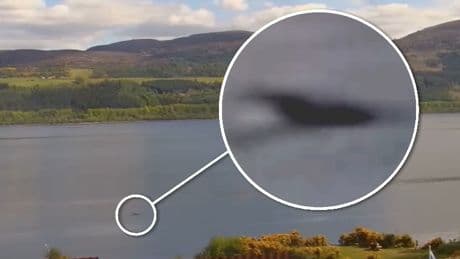 Sensation in Schottland - Schwimmt hier Nessies Baby?