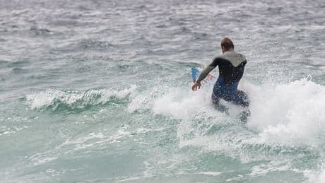 Surfer in Australien stirbt nach Haiattacke