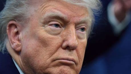 Donald Trump is branded an 'a***hole' by his own niece in scathing put-down
