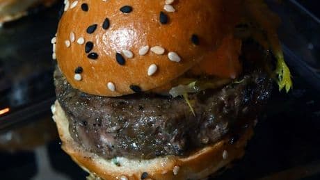 'I tried the most expensive burger in the UK and price will make you wince'