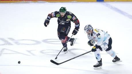 Eisbären: Die Entdeckung der Entschleunigung als Aufbauhilfe