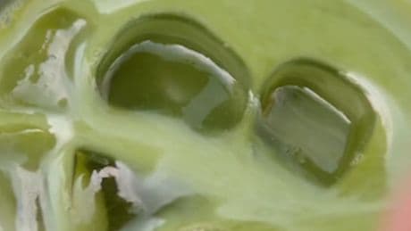 Matcha-Engpass - Matcha könnte bald ausverkauft sein