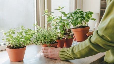 Gesund, lecker, unterschätzt: Dieses Standard-Gewürz kann mehr, als Sie denken