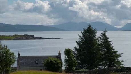 Stunning hidden gem Scottish beach 'some of best wildlife on the planet'