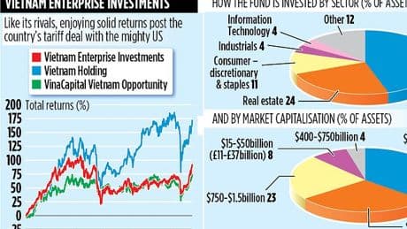 VIETNAM ENTERPRISE INVESTMENTS: Growth push could see strong returns for Footsie trusts