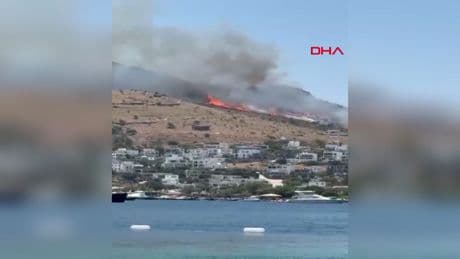 Muğla'da maki yangını